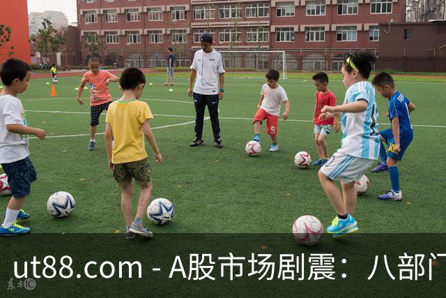 ut88.com - A股市场剧震：八部门联合政策或为拐点